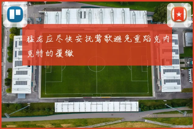 猛龙应尽快安抚莺歌避免重蹈克内克特的覆辙